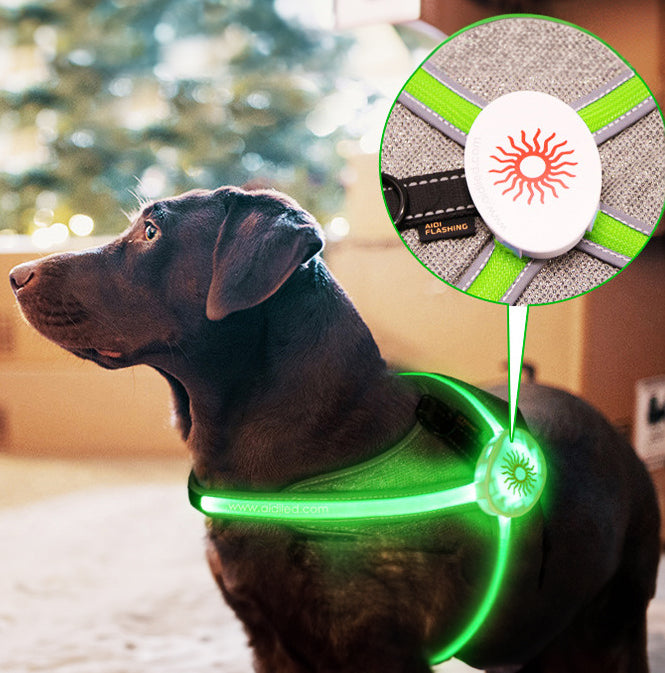 Arnés Iluminado Para Perro Recargable - LED Ajustable E Impermeable, Para Perros Medianos Y Grandes | Ideal Para Paseos Nocturnos Seguros
